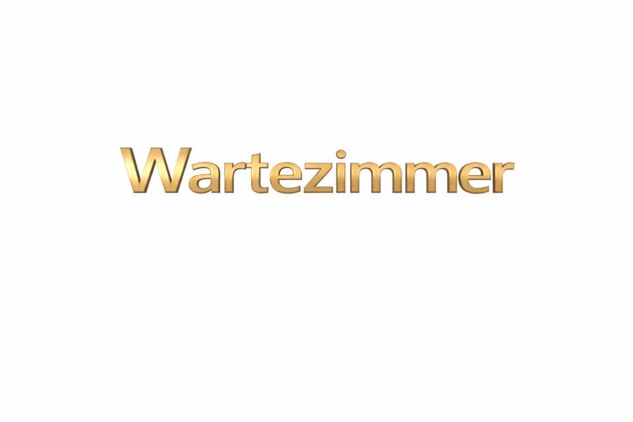 3D Messingschriftzug WC Damen