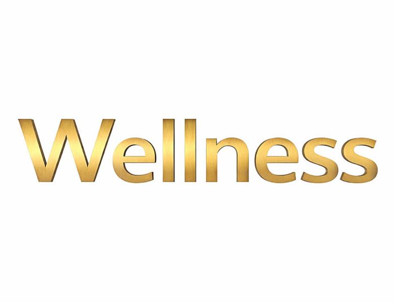 Messingschriftzug geschliffen, lackiert, 40 mm, 3 mm stark, "Wellness"